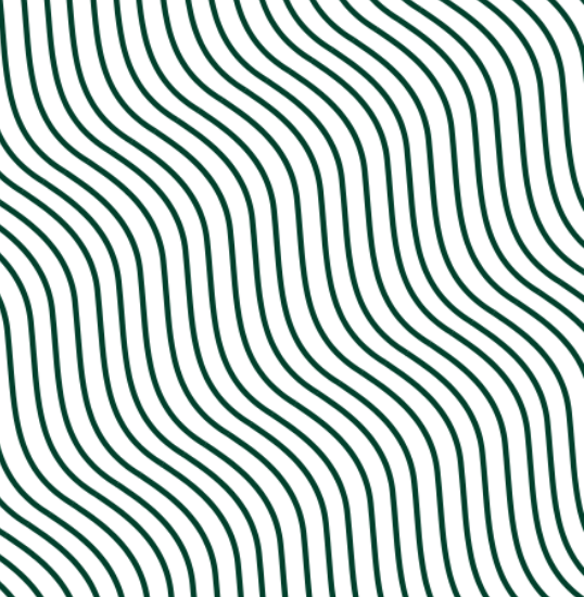Découvrez